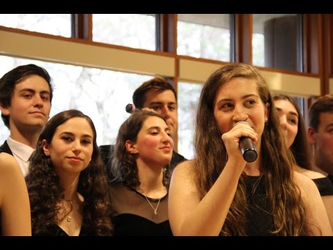 Eden (Shir Appeal Spring Show 2017: Shpace)