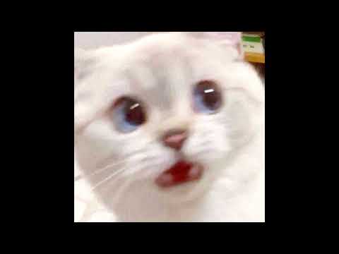 DethTech - Don't Talk to Me