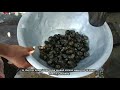 RARE TRIBAL FOOD of Oraon People!!! (Never Seen on Camera Before!!)