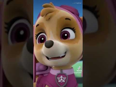paw patrol - Skye x chase 💞😍❤🥰