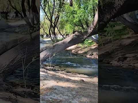 Cervantes Rio Negro.