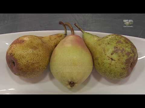 Ne Shtepine Tone, 14 Shtator 2017, Pjesa 3