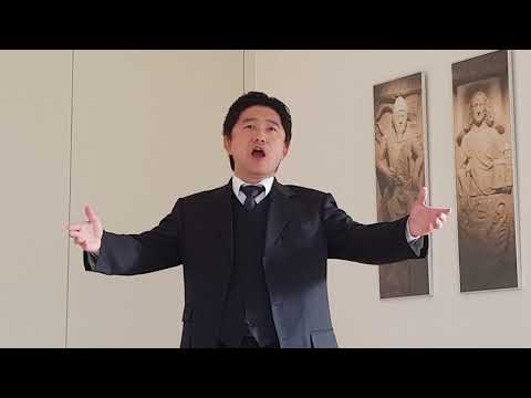 Celeste Aida - Aida - G. Verdi - Radamès Aria