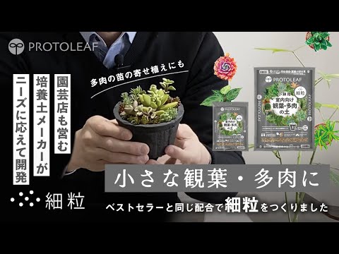 【室内向け観葉・多肉の土 細粒 小鉢用】植えつけ編