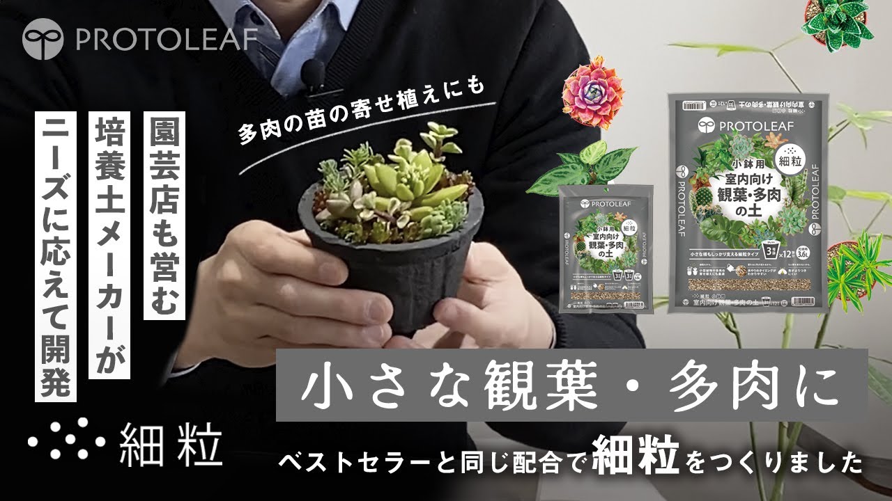 【室内向け観葉・多肉の土 細粒 小鉢用】植えつけ編