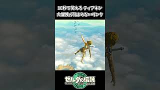 【ティアキン】大冒険が始まらないリンクｗｗ【ゼルダの伝説 ティアーズ オブ ザ キングダム】