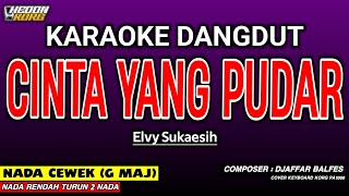 Download lagu CINTA YANG PUDAR KARAOKE DANGDUT - ELVY SUKAESIH mp3