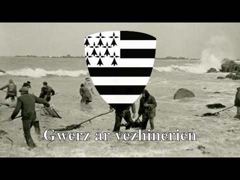 Gwerz ar vezhinerien