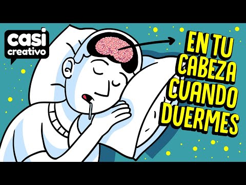 Lo que pasa en tu cabeza cuando duermes | Casi Creativo