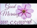 Good Morning Video Good Morning Sinhala Video Good Morning Status Wishes