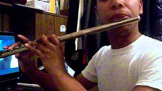 Hot Wings (I Wanna Party) (from Rio) - Flute Cover