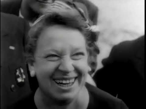 The Big Picture The 29th Division | Public Domain | Dummy Vault