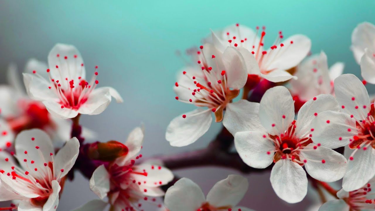 Surrender to God, and He Might Surprise You Very Soon | C.S. Lewis Motivational Speech