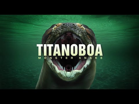 Titanoboa: Monster Snake [2012] - Titanoboa Screen Time