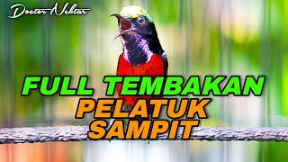 Download lagu KONIN GACOR FULL ISIAN TEMBAKAN PELATUK SAMPIT JOSS AUDIO JERNIH COCOK BUAT MASTERAN KOLIBRI NINJA mp3