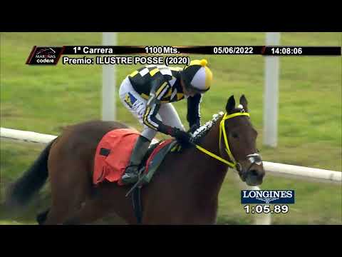 220605 c01 ES PORFIADA