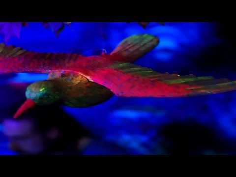 Mikroklimat teaser  @ Żarty żartami - Łódź 04.03.2017