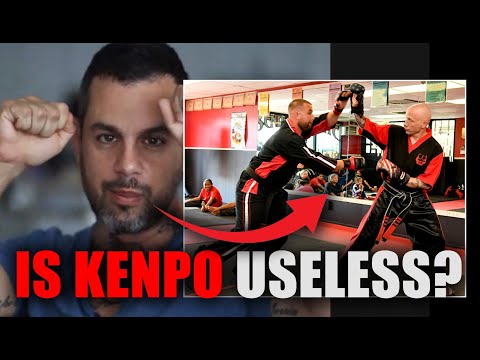 Is Kenpo useless? A deep dive in to the pros and cons