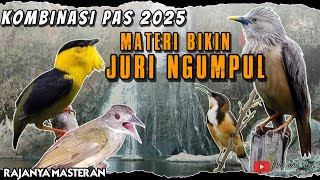 Download lagu MASTERAN KOMBINASI BIKIN JURI NGUMPUL!! MASTERAN BURUNG Murai Batu ,Cucak ijo ,Kacer dll mp3