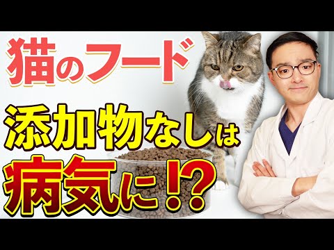 穀物不使用のキャットフード:量が重要です!