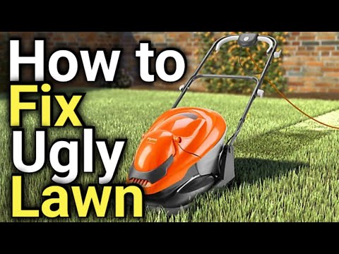 How to Fix a Ugly Lawn with RESULTS - Step by Step Grass for Beginners