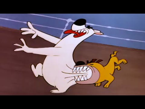 Chilly Willy Full Episodes 🐧The legend of rockabye point 🐧Kids Movie | Videos for Kids