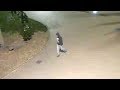 Den Bosch: Man (48) mishandeld en beroofd in Zuiderpark