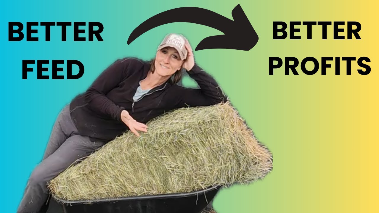 Maximize Productivity and Avoid Problems - Nutrition Through The Year