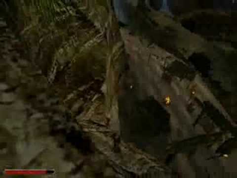 Lets Play Gothic NOTR (06) Two is better than one