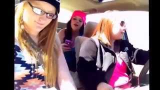 Circulatory System 2014 Kaylee Jocelyn & Alyssa