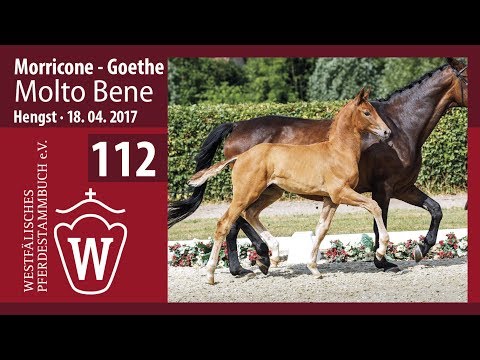 112 Molto Bene  Hengst v. Morricone - Goethe