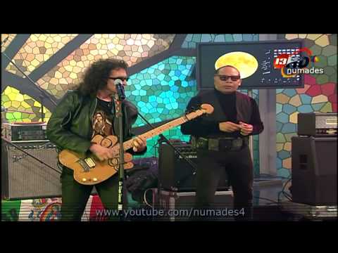 el tri - chavo de onda (animal nocturno)