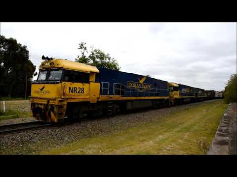 Pacific National 7MP7 NR28 with Indian Pacific livery NR91 NR70 16th October 2021