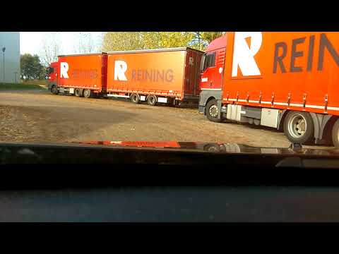 wisselen Reining Haps.