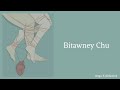 Bitawney Chu The Dreamcatchers