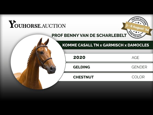 Prof Benny van de Scharlebelt