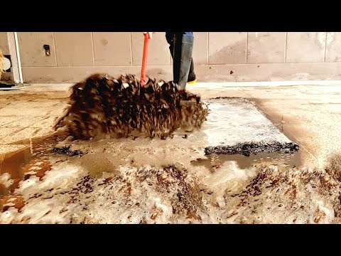 Severe restoration of the old muddy hand-woven carpet | Satisfying carpet cleaning