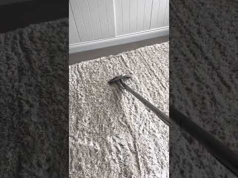 Carpino Carpet Cleaners video.