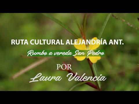 Ruta cultural Alejandría Antioquia, rumbo a la vereda san pedro