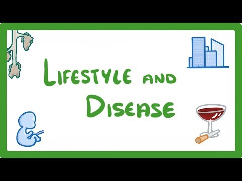 Kingdoms of Life Animals Plants Fungi Protoctists Bacteria and Viruses 1