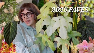 my top 10 plants of 2025! 🌿🎉