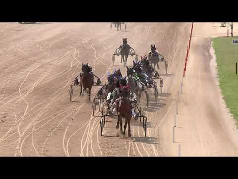 2020.06.13. 05. futam - FATIA NEGRA DÍJ - NYERETLENEK VERSENYE II. RÉSZ