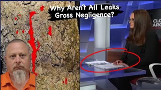 Delphi Case Transcripts Explained Updates and Leak Theories