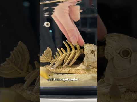Gambar APA Set Aquarium Cube Betta Transparant