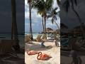 Playing on Flamingo Beach #aruba #renaissance #island #kids #flamingo #flamingobeach #beach #shorts