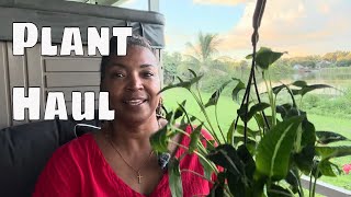 🌿 September Plant Haul 2025 🌿 Rare Plant Finds, Fall Favorites & Indoor Jungle Additions!