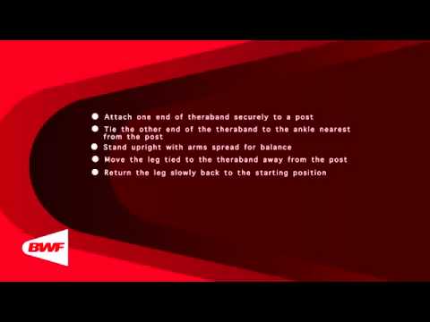 CE2M8V68 Theraband Exercises   Adductors Standing 1