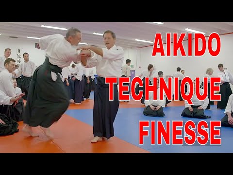 AIKIDO Movement Techniques pt22