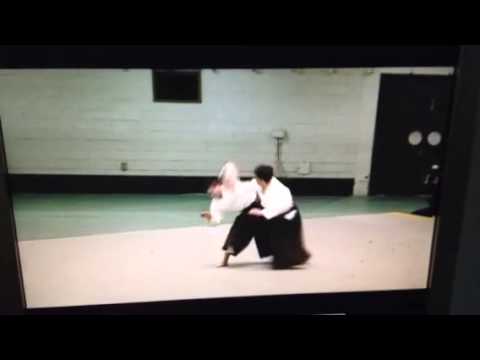 Sasaki Seijyu Shidoin & Nicola Rossi Aikido 48th Aikido All