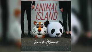 Animal Island - For The First Time (Official Audio)